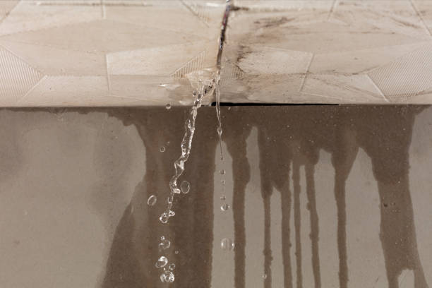 Professional Structural Drying technician working in Smithville, TX
